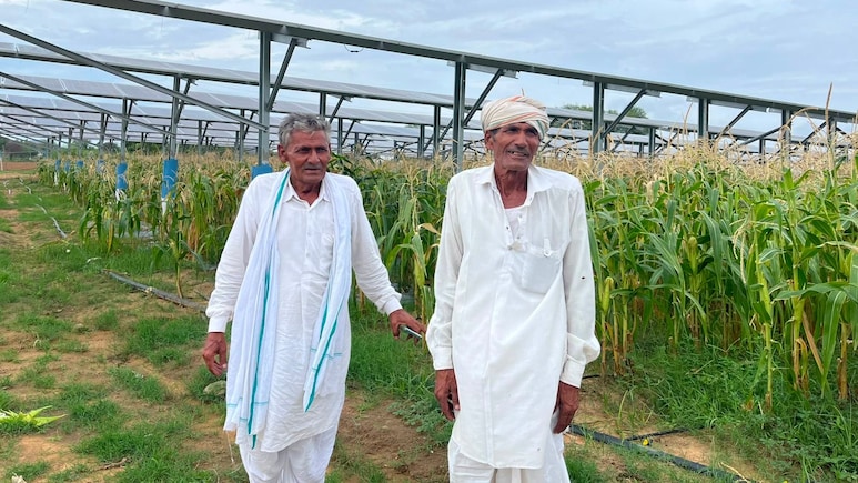 नीचे कर रहे खेती, ऊपर बना रहे बिजली; अन्नदाता से ऊर्जा दाता बने किसान कमा रहे लाखों रुपये