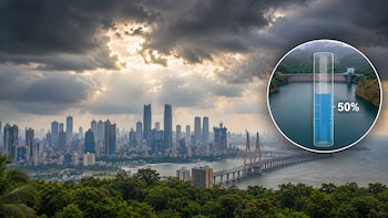 Water Level In Mumbai Lakes Crosses 50% Mark After Steady Rain; Check IMD Weather Forecast