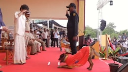 Video: Sniffer Dog Rocky Welcomes Vijay With Flowers At Chennai Event