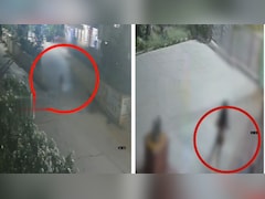 Ex-Techie With Mental Health Issue Runs To Temple Naked, Then Jumps Into Pond
