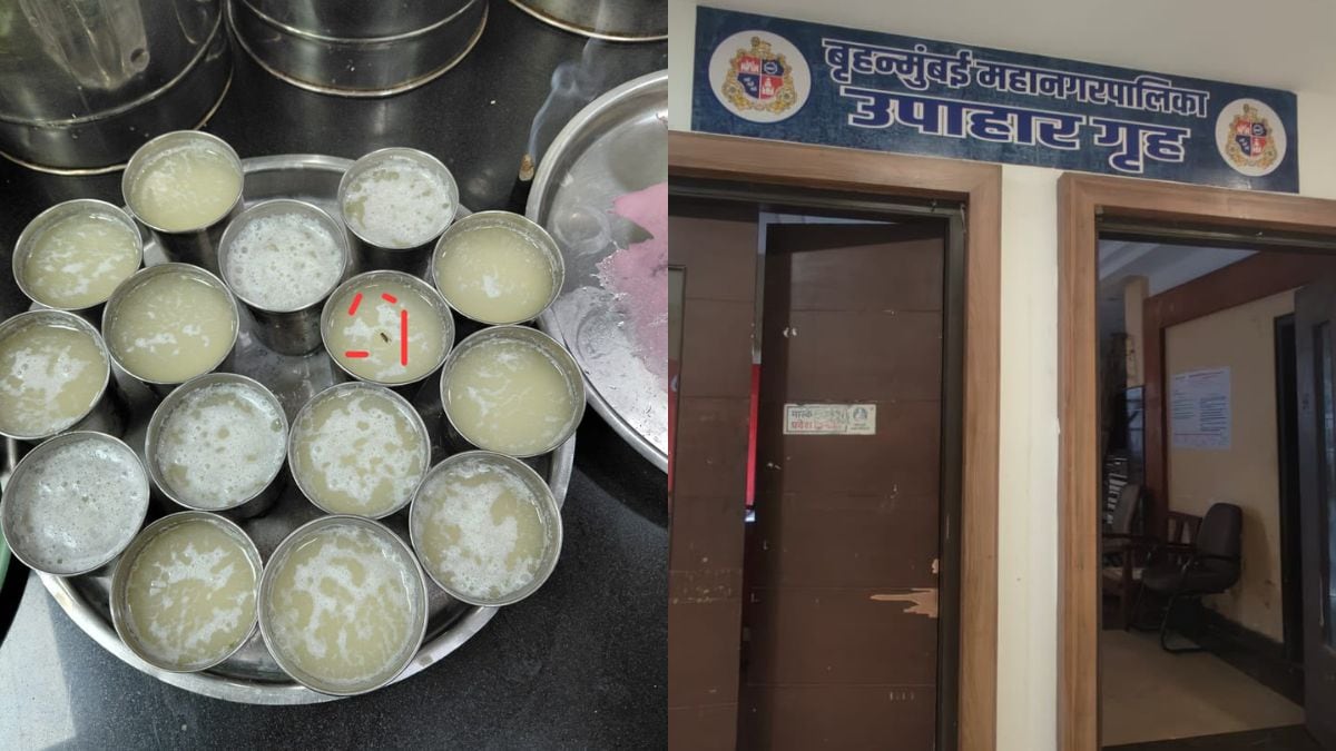 Fly Found In Buttermilk At Mumbai Civic Body Canteen, Shutdown Ordered