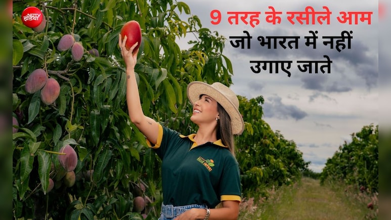 9 तरह के रसीले आम, जो भारत में नहीं उगाए जाते, शायद ही इनके नाम जानते होंगे आप