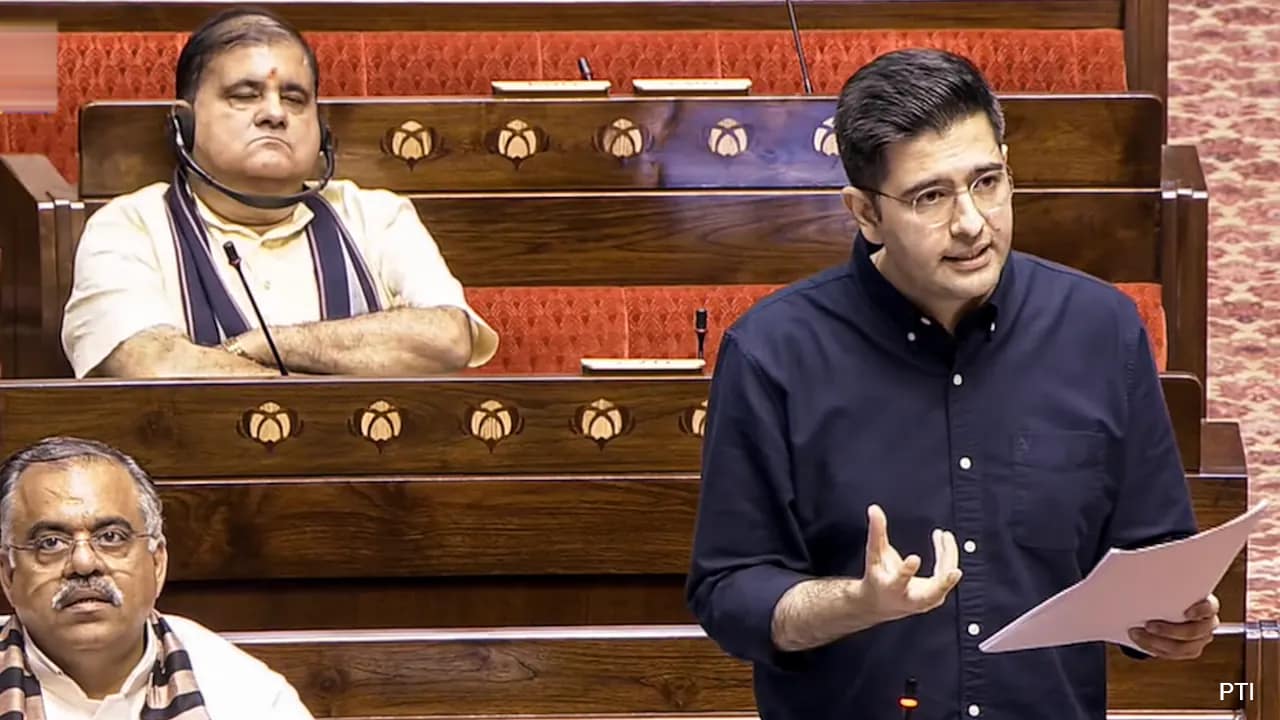 "Can't Stop Them By Sound-Bites": Raghav Chadha On Silence Over Paper Leaks