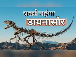दुनिया का सबसे महंगा डायनासोर नीलाम, 500 करोड़ में बिका कंकाल- खोपड़ी बता रही अपने समय का योद्धा था