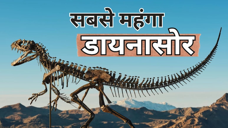 नीलाम हो रहा है डायनासोर का सबसे कीमती कंकाल, कोई भी लगा सकता है बोली, कीमत है इतने करोड़
