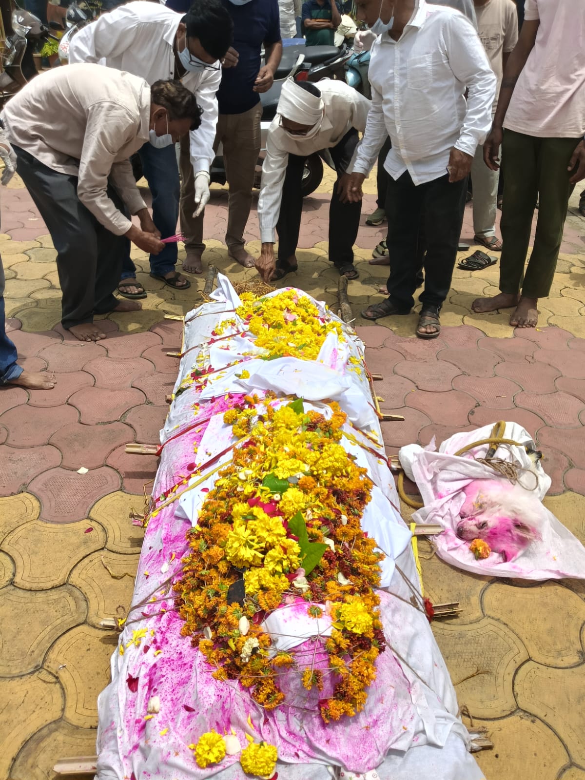 Until The Last Journey: Betul Man's Loyal Dog Dies Beside His Bier
