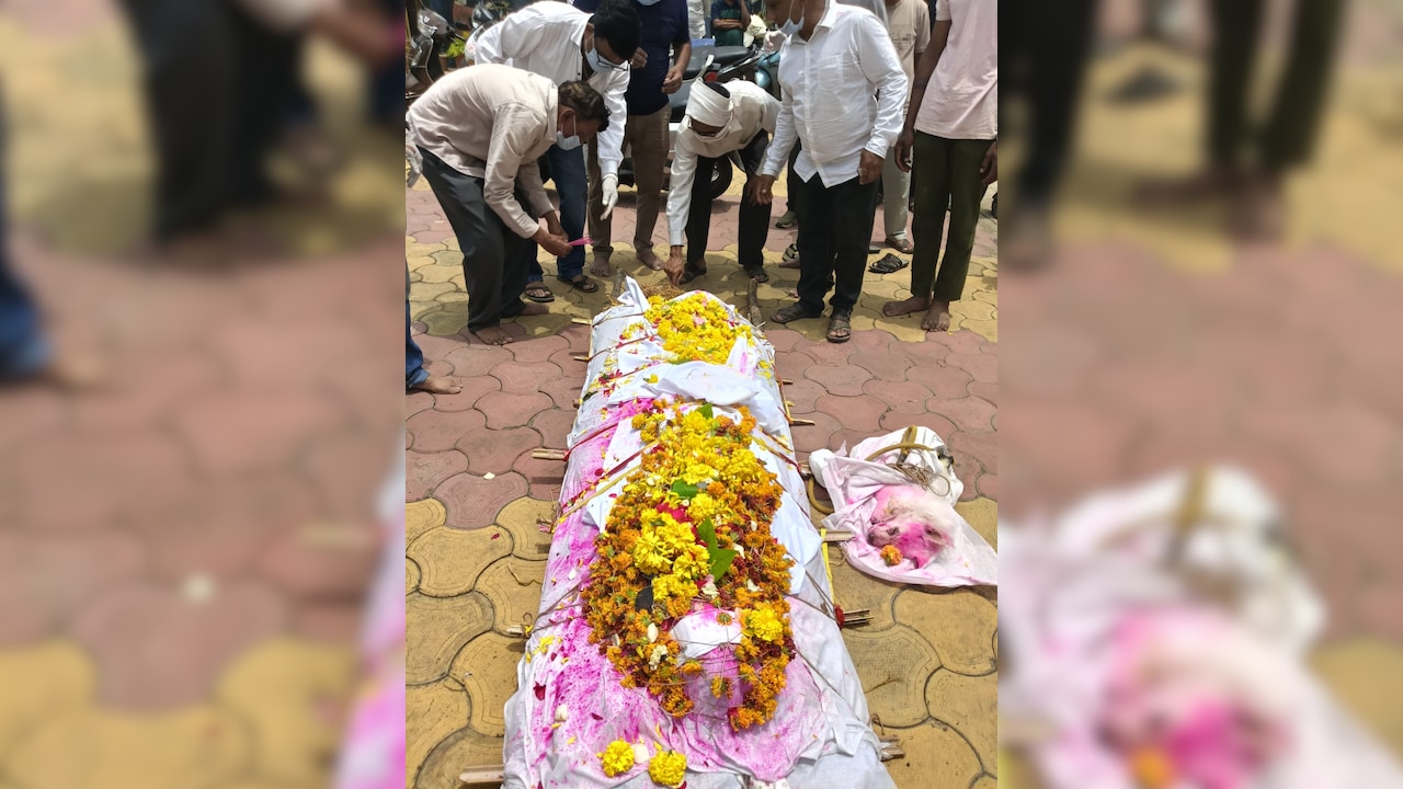 Until The Last Journey: Betul Man's Loyal Dog Dies Beside His Bier