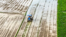 In Assam Budget, 'Green Cess' Proposal To Fund Environmental Projects