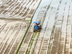 In Assam Budget, 'Green Cess' Proposal To Fund Environmental Projects