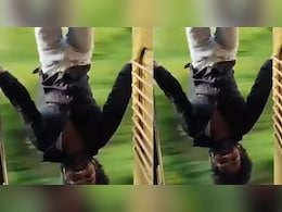 Viral Video: जीव गेला तरी चालेल पण रील पाहिजेच! भरधाव ट्रेनमधील 'या' 11 सेकंदांच्या स्टंटने इंटरनेटवर उडवली खळबळ