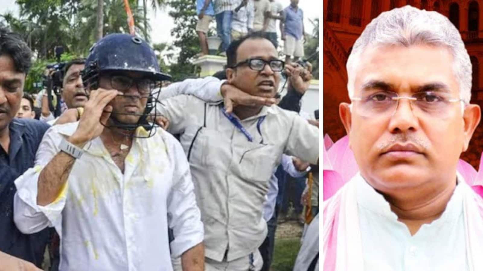 “Harmless Innovation”: Bengal Minister On Egg Attacks Targeting Trinamool Leaders