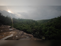 कभी नक्सलियों के साए में घिरी थी यहां की खूबसूरती, अब गोलियां नहीं, हॉर्नबिल की आवाज गूंज रही