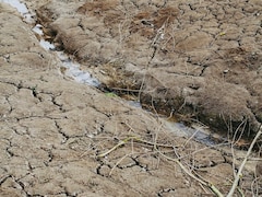 Gujarat Faces Worst June Rain Deficit In India, Records 82% Shortfall Amid Delayed Monsoon