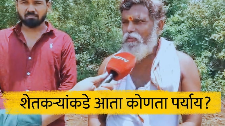 पावसाची पाठ, पिकांनीही माना टाकल्या; शेतकऱ्यांनी काय करावं? दुबार पेरणीपेक्षा... हवामान विभागाचा सल्ला
