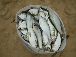 Can It 'Rain' Fish? This Village Sees It Every Year