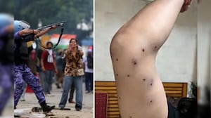 Delhi Protest Row: Who Ordered Pellet Guns? Kiran Bedi Joins Heated NDTV Debate