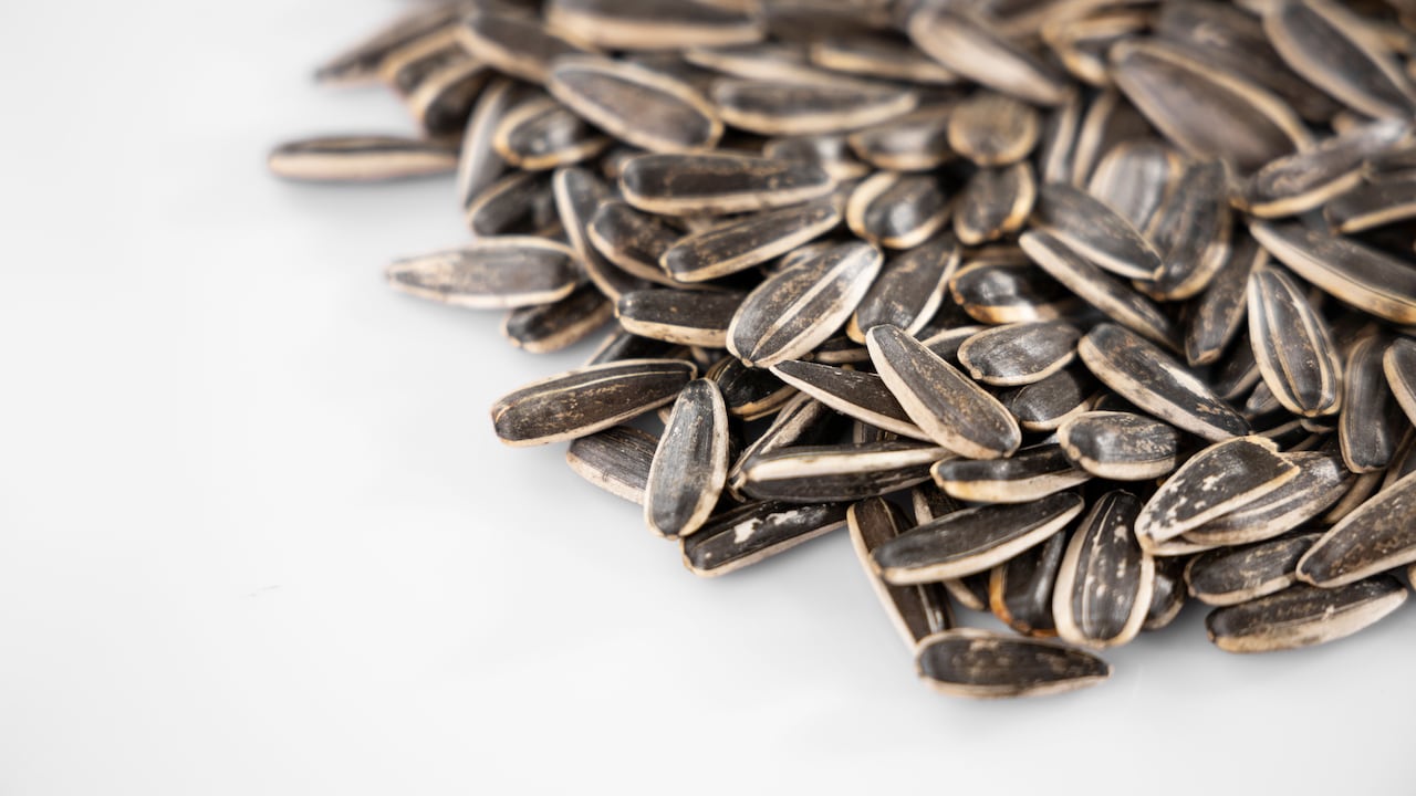 Seeds Seeds