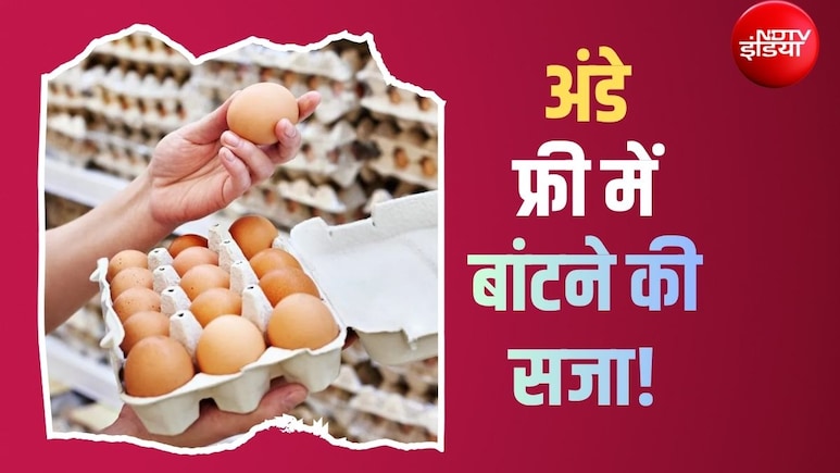 अमेरिका में एक अंडे की कीमत 71 रुपये तक पहुंचाने वाली 3 कंपनियों को सजा, अब फ्री बांटने होंगे 5 करोड़ अंडे