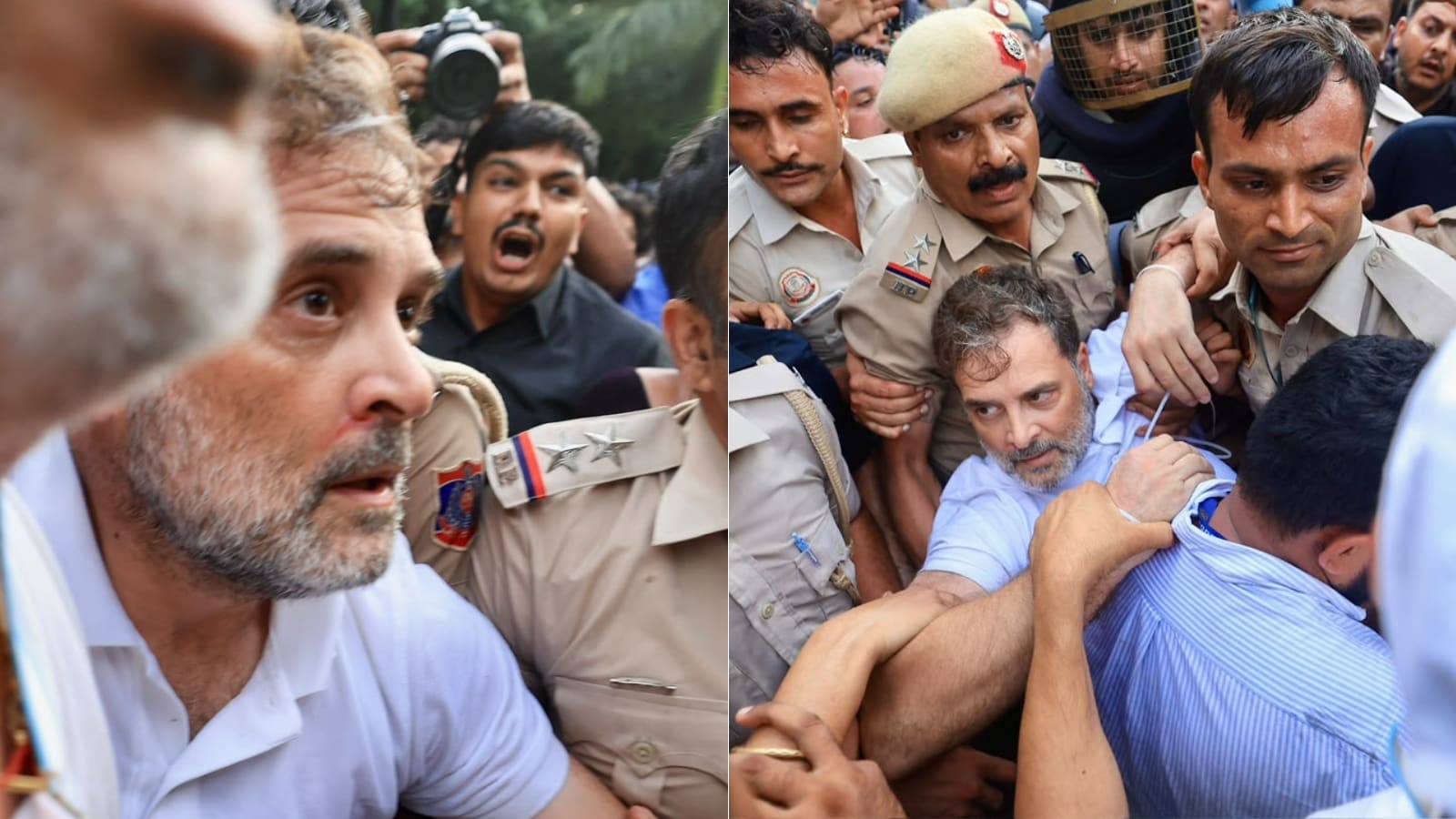 Video: Rahul Gandhi Detained From Protest Site, Seen Bleeding From Nose