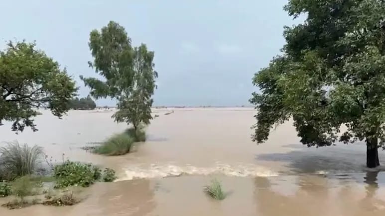 कभी बूंद-बूंद को तरसते तो कभी सब जलमग्न...पाकिस्तान में बाढ़ जैसे हालात, रावी-चेनाब नदी में बढ़ा जलस्तर