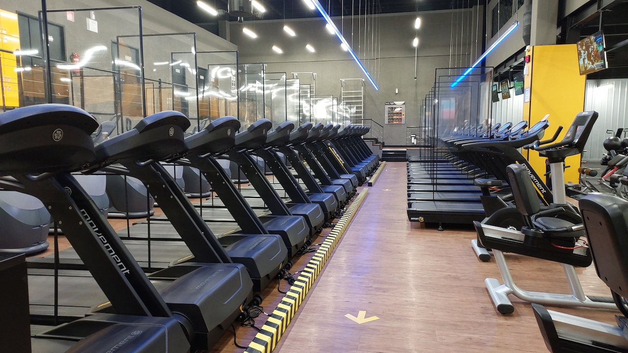Walking Pad Vs Treadmill: Which One Fits Work-From-Home Life Better?