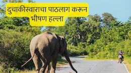 Chandrapur News : दुचाकीसमोर अचानक हत्ती, वाहन टाकून पळाले, पण हत्तीने पाठलाग करून जीवच घेतला; चंद्रपुरात खळबळ