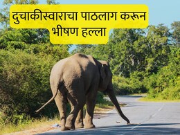 Chandrapur News : दुचाकीसमोर अचानक हत्ती, वाहन टाकून पळाले, पण हत्तीने पाठलाग करून जीवच घेतला; चंद्रपुरात खळबळ