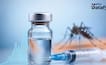 India's First Dengue Vaccine Arrives As Cases Surge Nearly 88-Fold In Two Decades