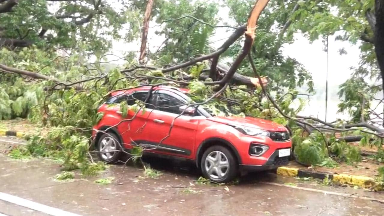 Red Alert Batters Mumbai: Strong Winds Uproot Trees Across Shivaji Park