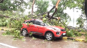 Red Alert Batters Mumbai: Strong Winds Uproot Trees Across Shivaji Park