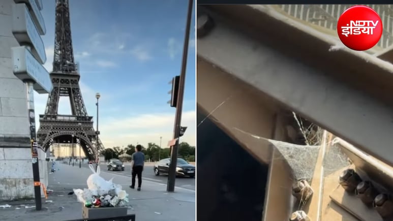 सोशल मीडिया पर दिखने वाले पेरिस के Eiffel Tower और असलियत में कितना फर्क? महिला के शेयर किया अपना एक्सपीरिएंस