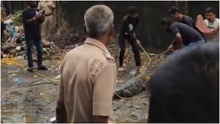 VIDEO: मुंबई में पवई झील से निकलकर सड़क पर घूमने लगा 7 फीट का मगरमच्छ, देखें कैसे हुआ रेस्क्यू