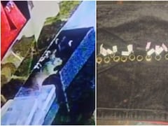 कर्नाटक में चूहों ने चुराए 10 लाख के गहने, चोरों को ढूंढने के लिए पुलिस के बजाय बुलाना पड़ा कारपेंटर