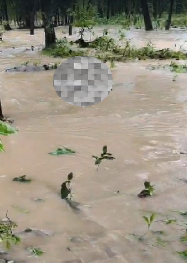 Saharanpur Rain: बारिश में शव कब्र से बाहर आ गए Saharanpur Rain: बारिश में शव कब्र से बाहर आ गए