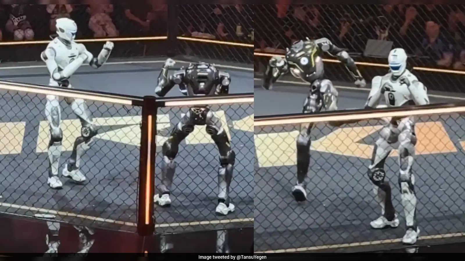 Headless Robot Fights On in China Combat Event
