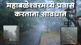 Mahabaleshwar News : महाबळेश्वरचा रस्ता जोखमीचा? तापोळ्याची वाहतूक पूर्णपणे ठप्प, पर्यटकांचा मनस्ताप&nbsp;