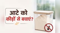 बरसात में आटे को कीड़ों से कैसे बचाएं? जानें स्टोर करने का सही तरीका