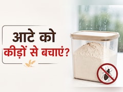 बरसात में आटे को कीड़ों से कैसे बचाएं? जानें स्टोर करने का सही तरीका