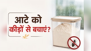 बरसात में आटे को कीड़ों से कैसे बचाएं? जानें स्टोर करने का सही तरीका