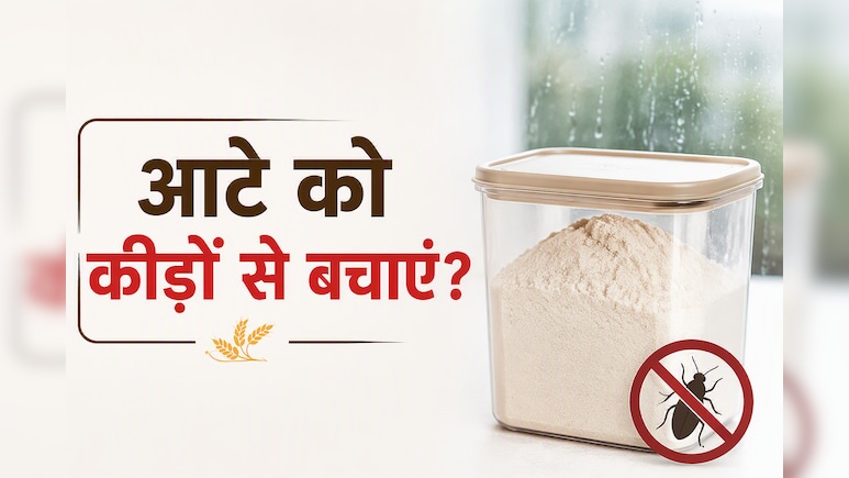बरसात में आटे को कीड़ों से कैसे बचाएं? जानें स्टोर करने का सही तरीका
