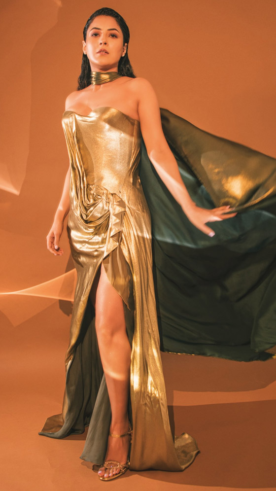 Shehnaaz Gill Exudes Red Carpet Royalty In A Gilded Gown