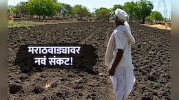 Marathwada News: मराठवाड्यावर नवं संकट! पेरणीचा कालावधी संपला; तब्बल 36 टक्क्यांनी पेरणी घसरली