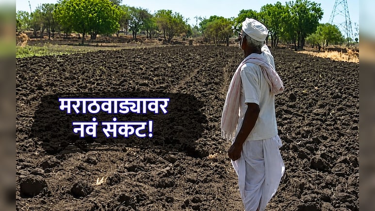Marathwada News: मराठवाड्यावर नवं संकट! पेरणीचा कालावधी संपला; तब्बल 36 टक्क्यांनी पेरणी घसरली