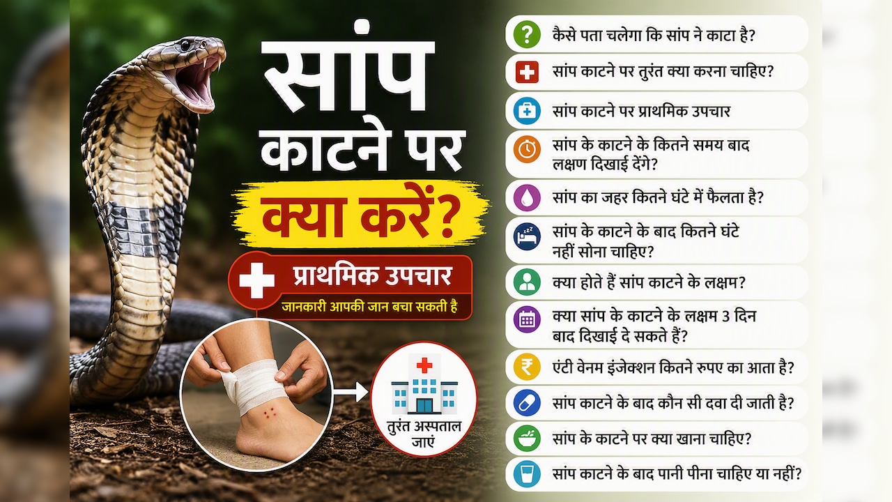 सांप काट ले तो क्या पानी पी सकते हैं? 3 दिन बाद भी दिखते हैं लक्षण! डॉक्टर से जानें तुरंत क्या करें और क्या नहीं