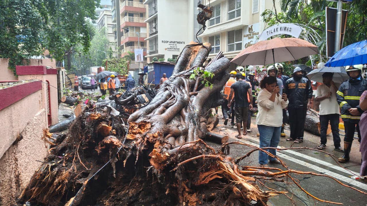 Mumbai Rains (Photo: PTI) Mumbai Rains (Photo: PTI)
