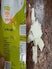Customer Complains Blinkit Delivered 'Fake' Fru Bon Paneer, Company Responds