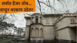 Trending News: एका रात्रीचे 50,000.. 'हा' जॉब कराल तर मालामाल व्हाल; पण काम असं की काळजाचा थरकाप उडेल
