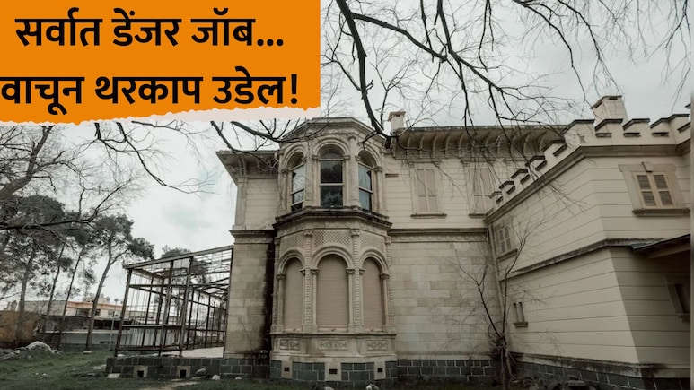 Trending News: एका रात्रीचे 50,000.. 'हा' जॉब कराल तर मालामाल व्हाल; पण काम असं की काळजाचा थरकाप उडेल