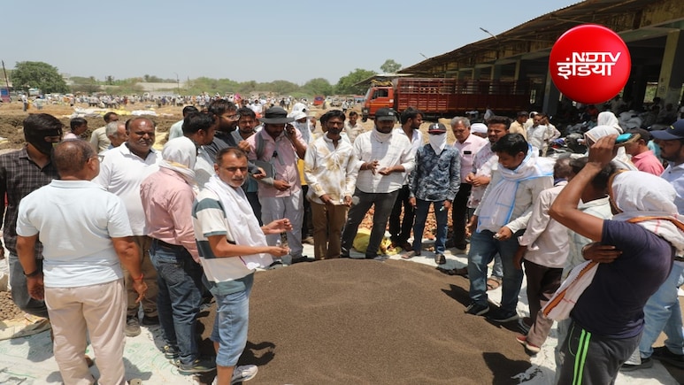 देश की अनोखी हर्बल मंडी: यहां बिकते हैं फूल, पत्ती, जड़, छाल और कांटे भी; किसानों को मिलते हैं मुंह मांगे दाम