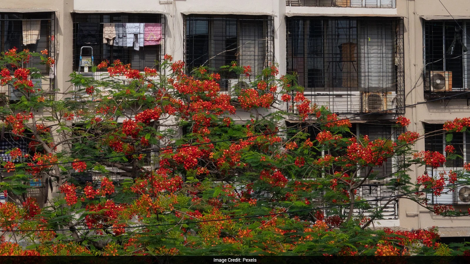 Mumbai Fresher Questions Financial Feasibility of Rs 40,000 Internship Due to High Rent